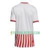 Camiseta de fútbol Paraguay 1ª equipación 2018